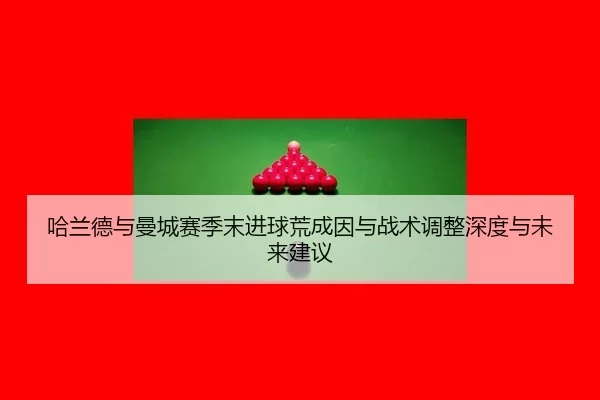 ha-lan-de-yu-man-cheng-sai-ji-mo-jin-qiu-huang-cheng-yin-yu-zhan-shu-tiao-zheng-shen-du-yu-wei-lai-jian-yi-2-756.jpg