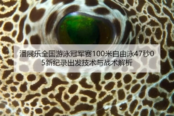 pan-zhan-le-quan-guo-you-yong-guan-jun-sai-mi-zi-you-yong-miao-xin-ji-lu-chu-fa-ji-shu-yu-zhan-shu-jie-xi-2-120.jpg