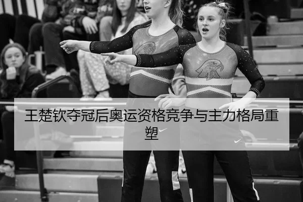 王楚钦夺冠后奥运资格竞争与主力格局重塑