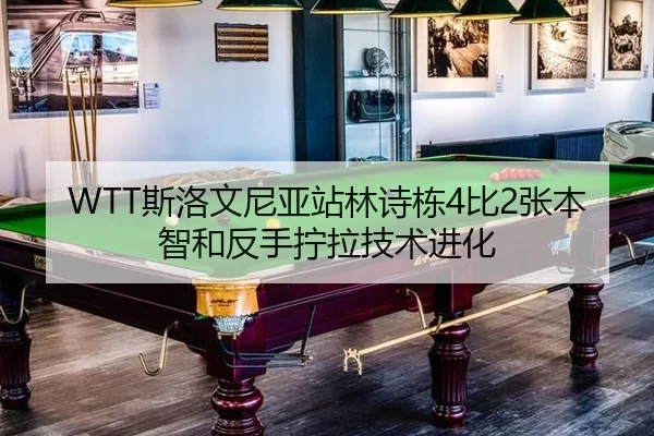 WTT斯洛文尼亚站林诗栋4比2张本智和反手拧拉技术进化